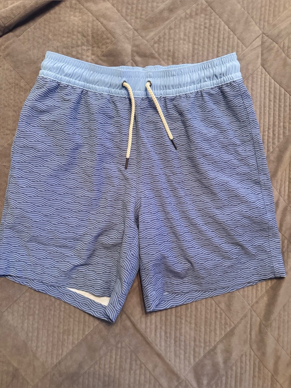 Fair Harbor Bayberry  Blue Wave-Pattern swim Shorts Mens sz M